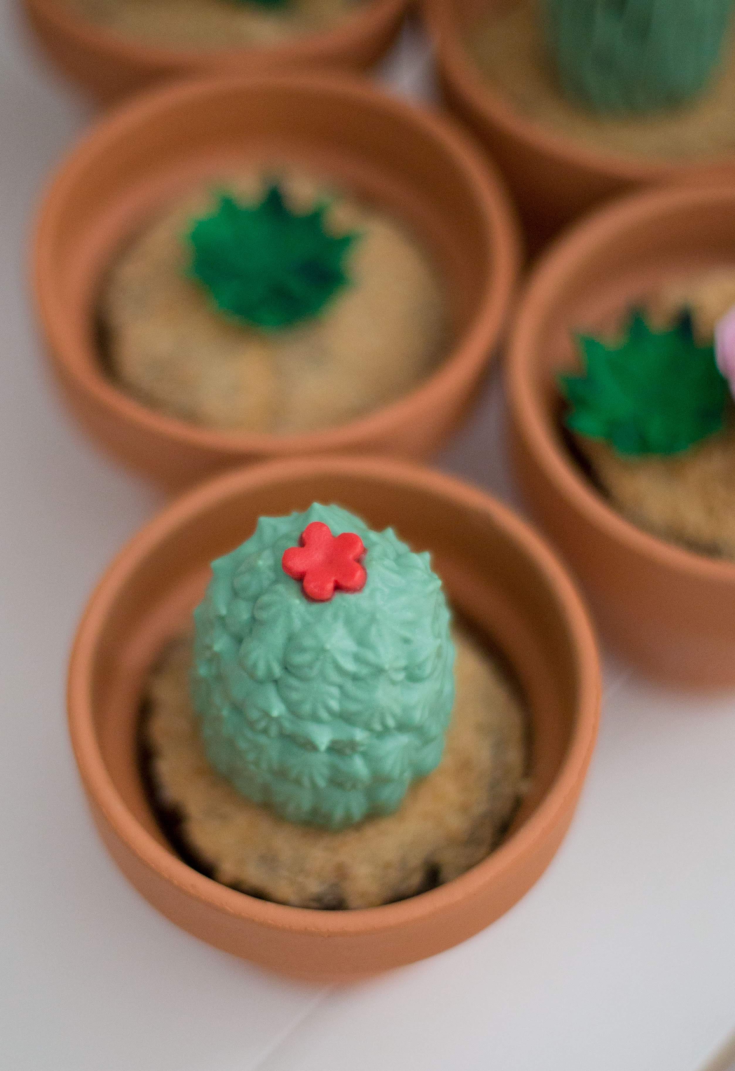cupcakes cactus